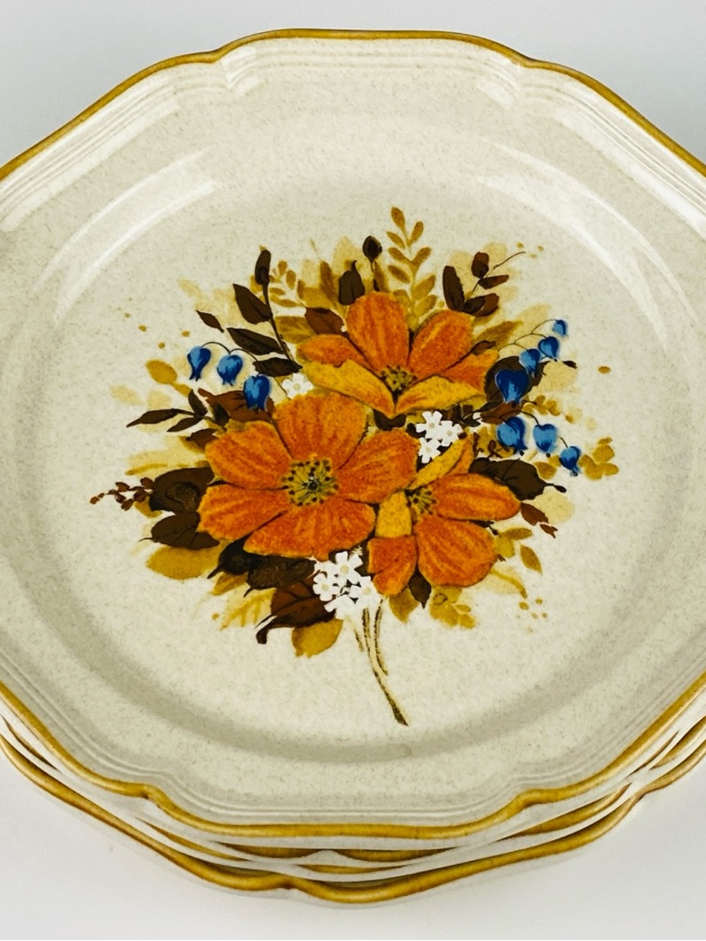 Vintage Mikasa Garden Club Flower Fest 10 .75” Dinner Plates ( set of 3 )